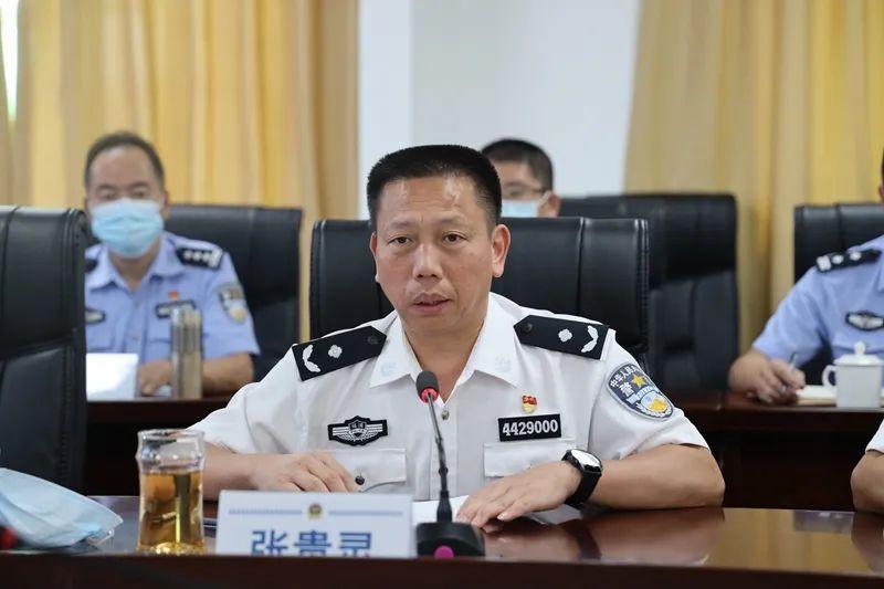 巡回检察组未来走向深度解读，最新预告揭示看点与未来展望