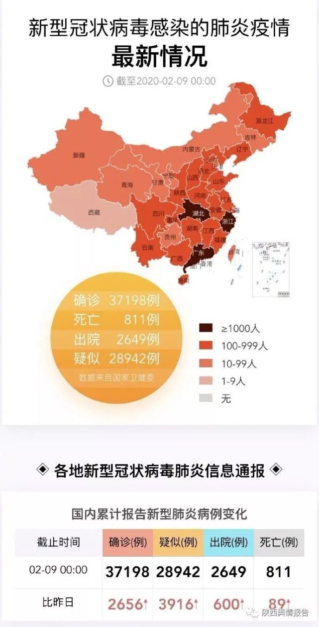 全球新冠疫情最新报告，现状、应对策略及全球响应进展