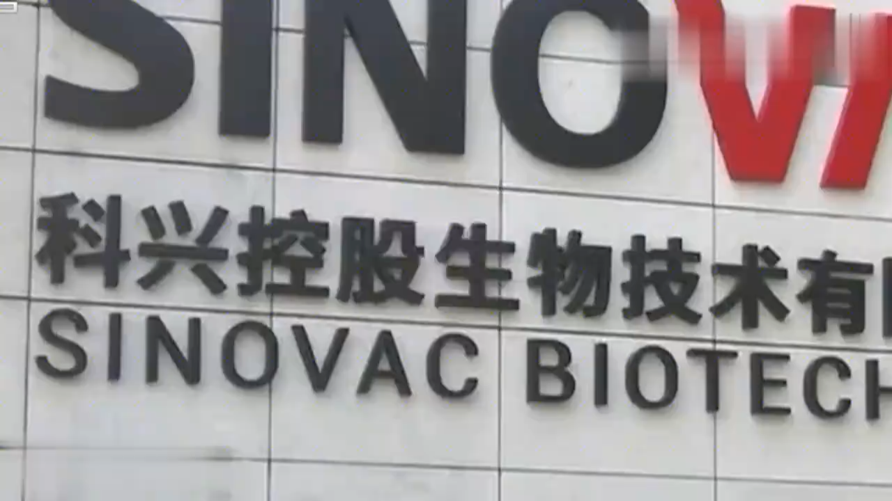 科兴最新消息全面解析与解读
