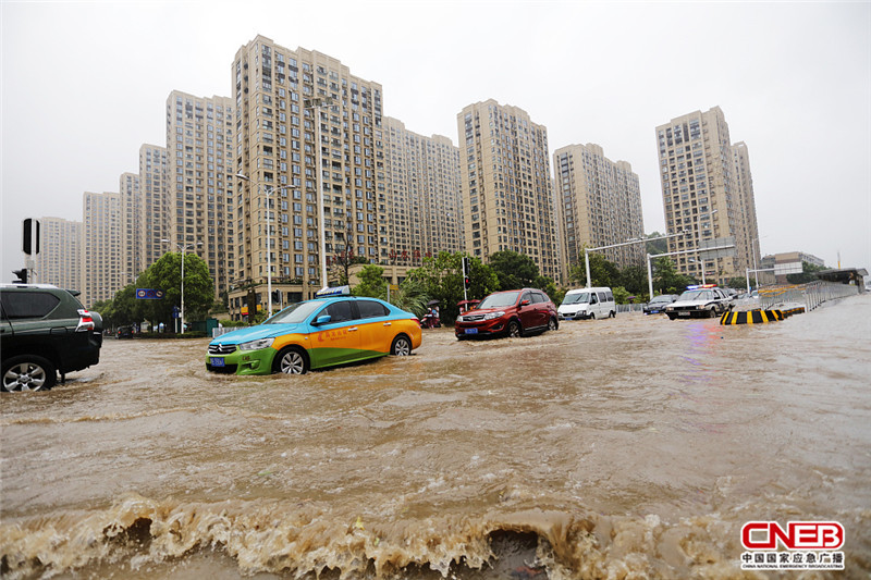 宜昌暴雨最新情况报告更新，暴雨影响及应对措施分析