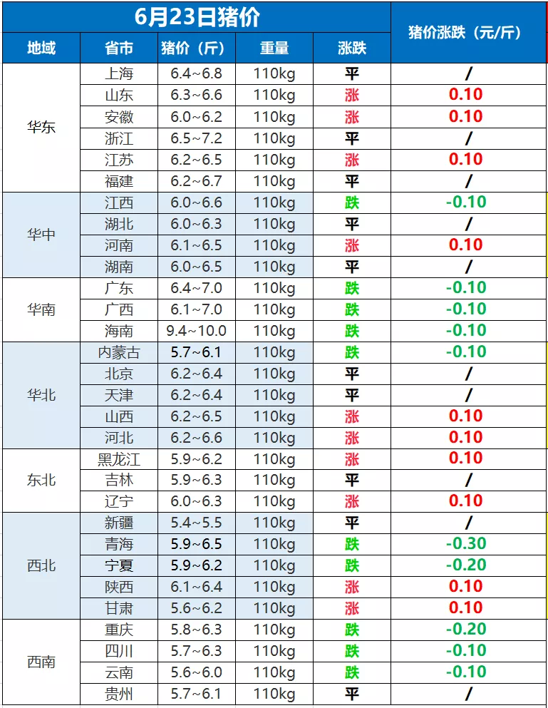 今日猪价行情深度解析及最新动态报告