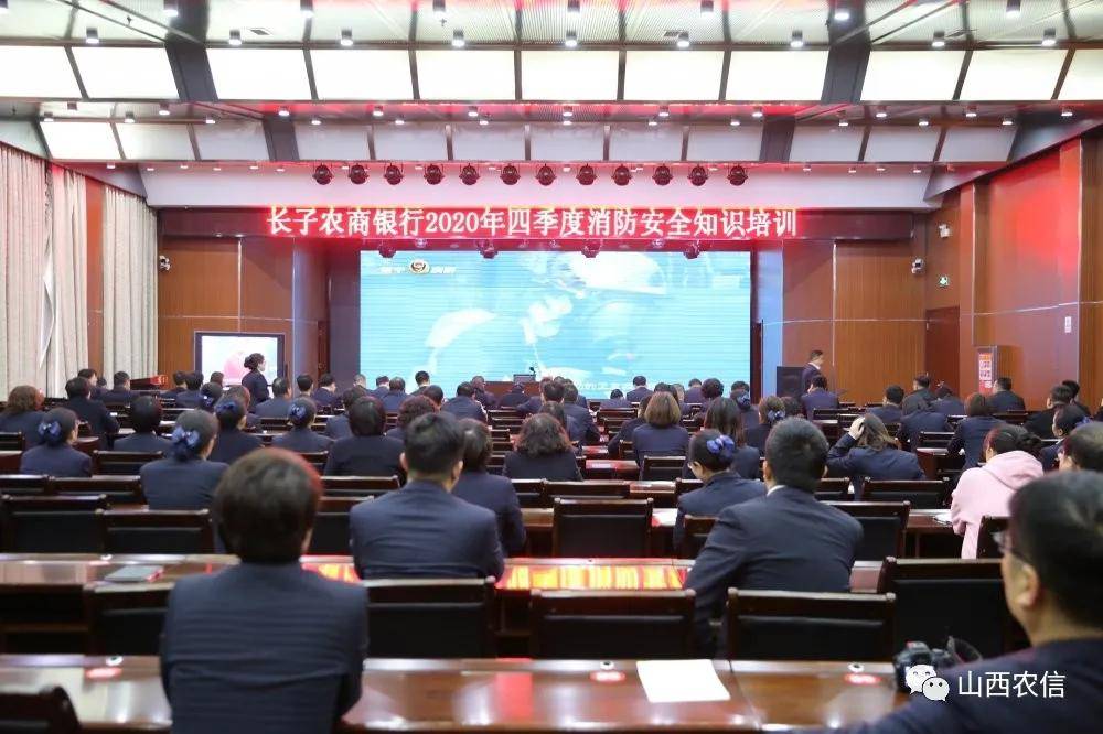 太原城区联社迈向高质量发展的坚实步伐最新动态