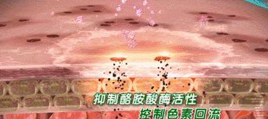 女神隔离霜最新动态揭秘，引领美妆潮流的神秘力量，最新资讯一网打尽