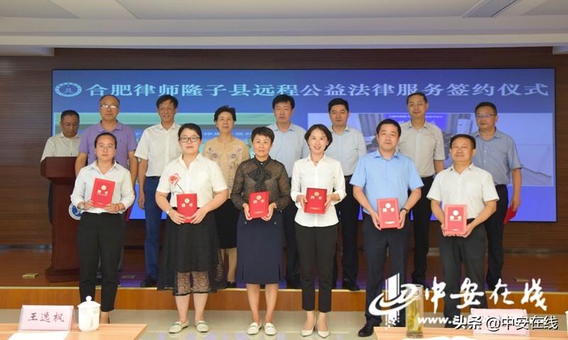 合肥最新日结工，探索与体验之旅