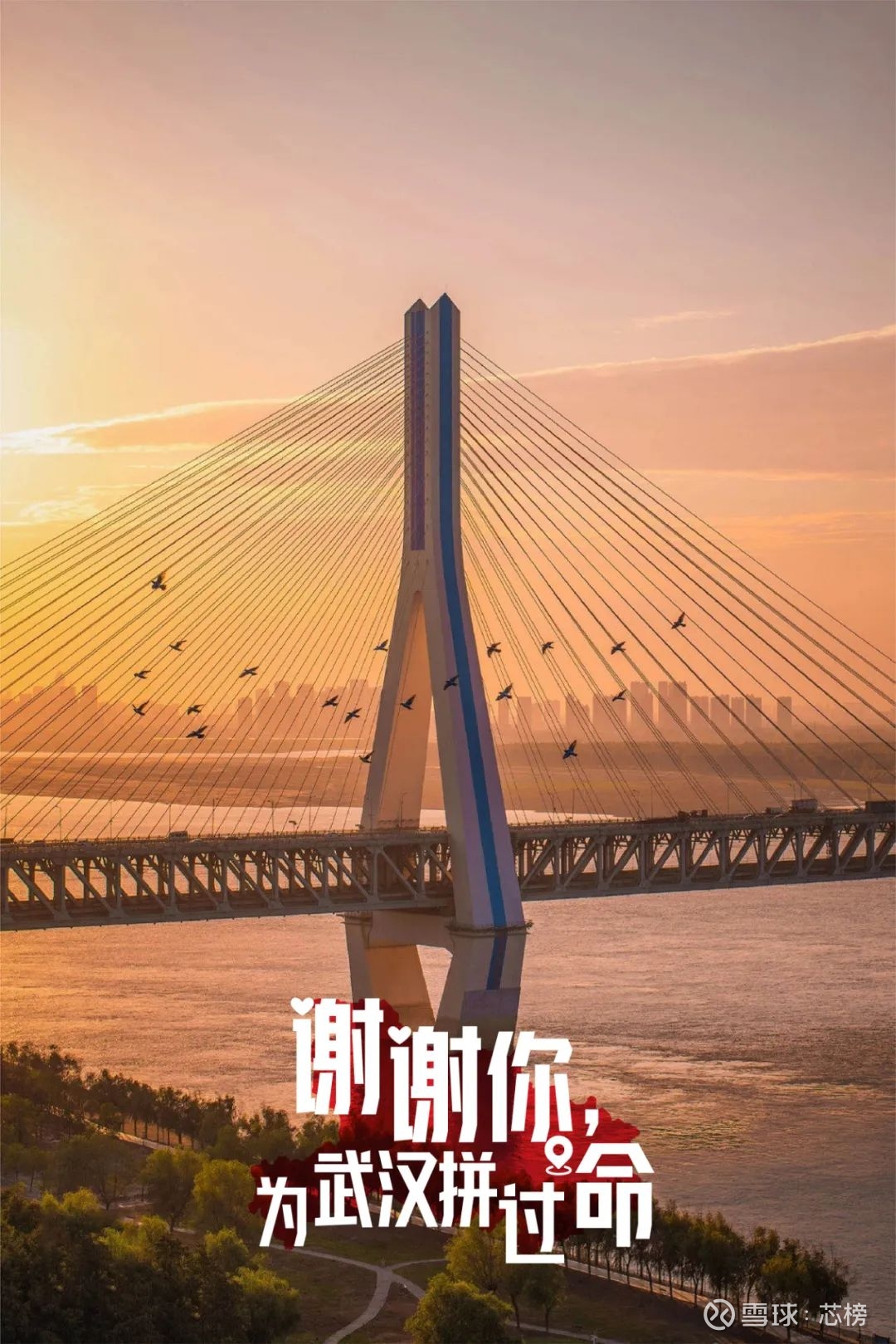 武汉最新发展动态，城市脉搏与时代印记的融合