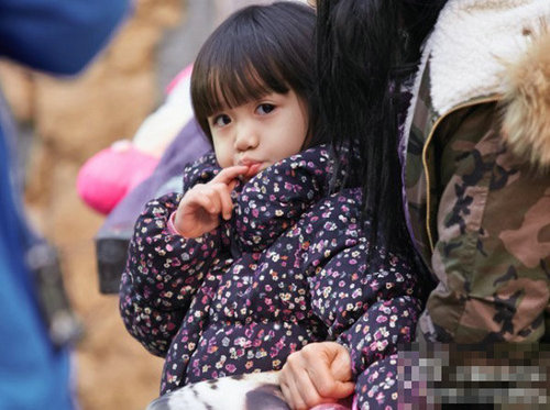 钟丽缇女儿考拉最新成长动态，成长变化与公众关注焦点