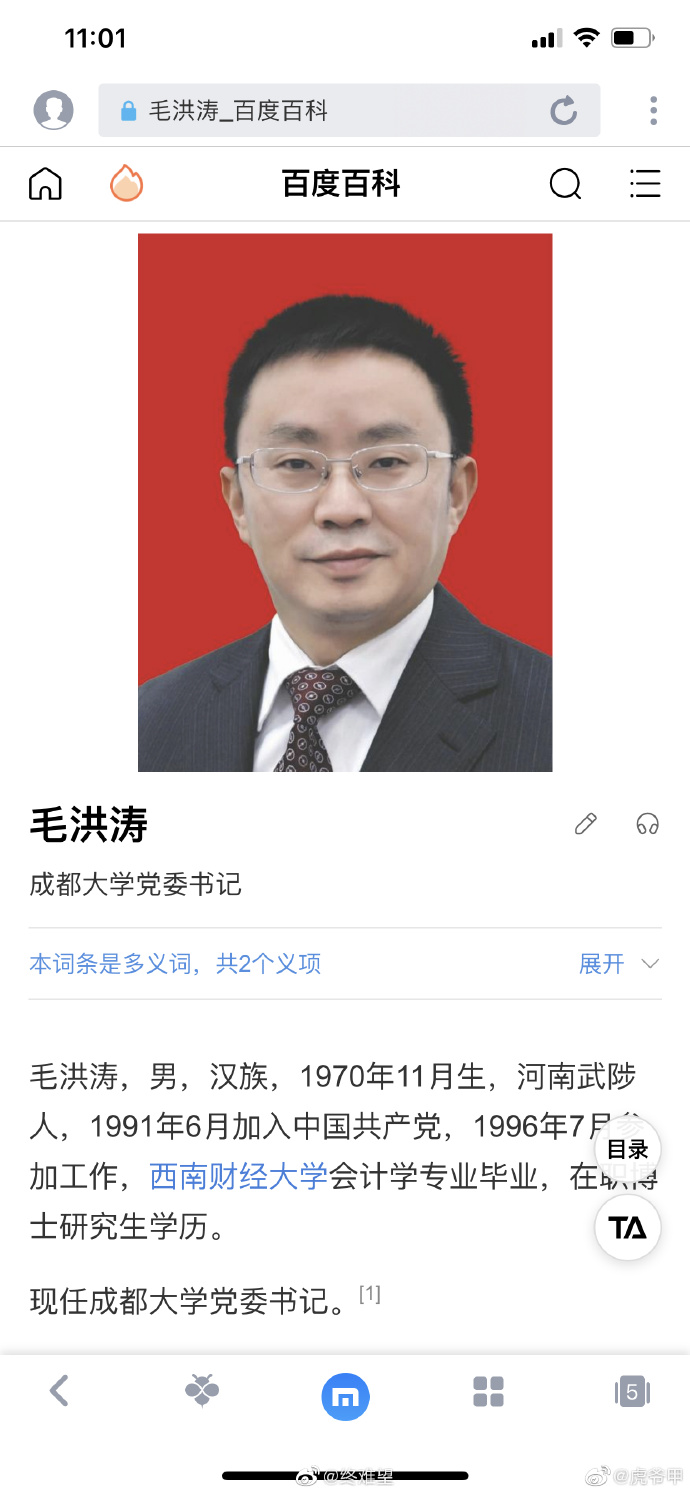 毛洪涛最新报道，成就卓越，展望未来