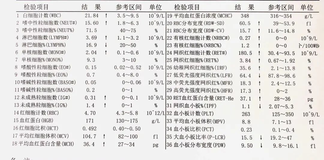 血常规最新版，深入理解与实践应用指南