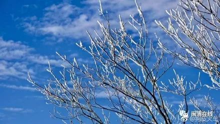 霜冻最新动态及其影响深度解析