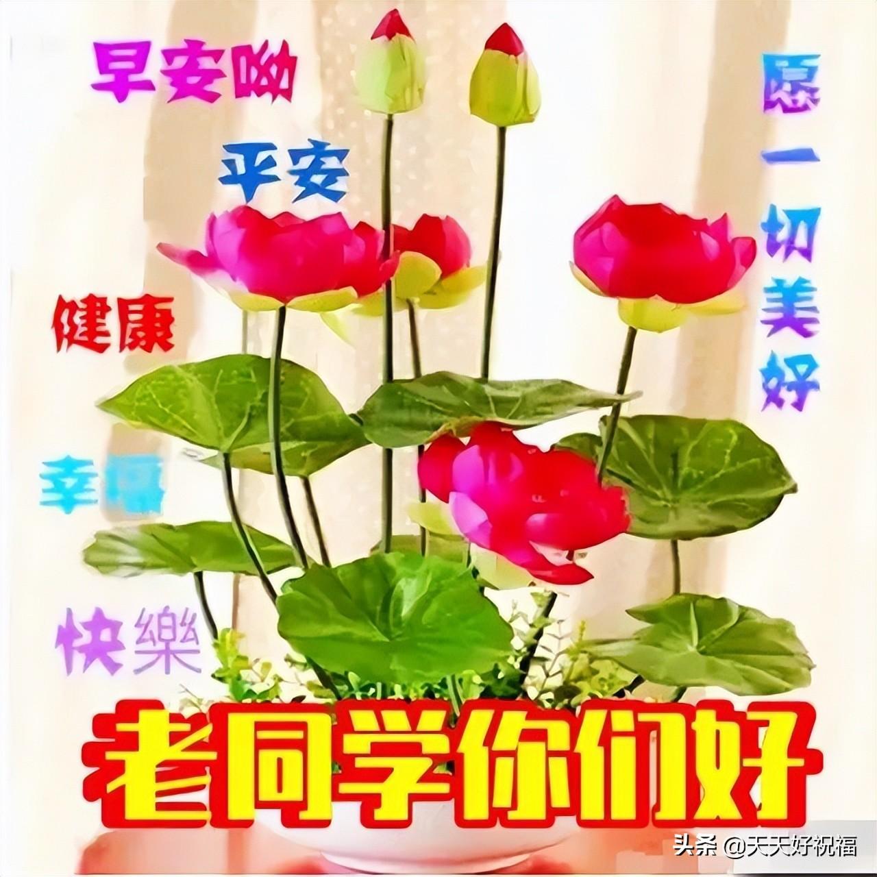 最新早上祝福图，开启美好一天的温馨祝愿之旅