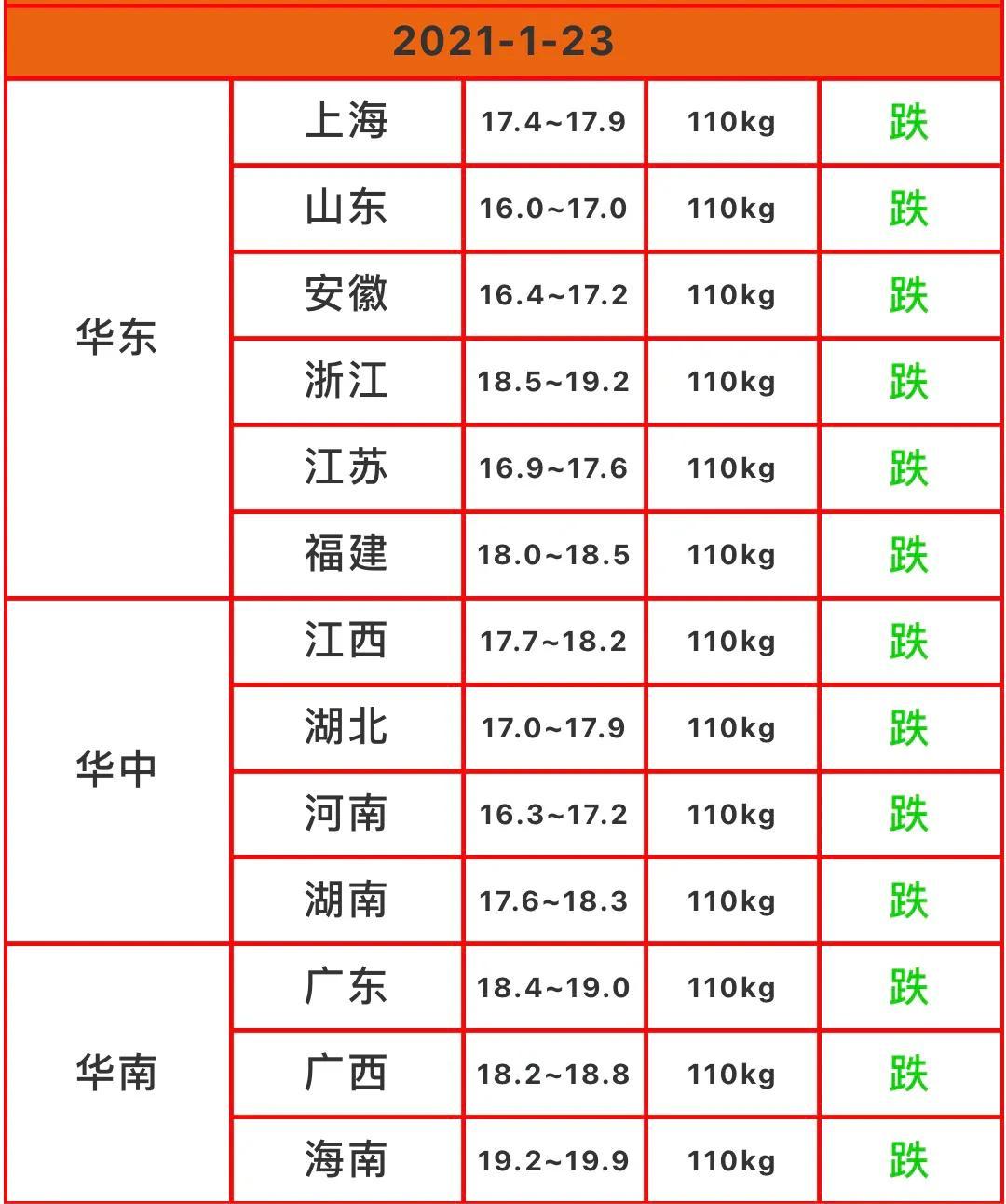 今日肥猪价格行情及分析，最新市场动态概览