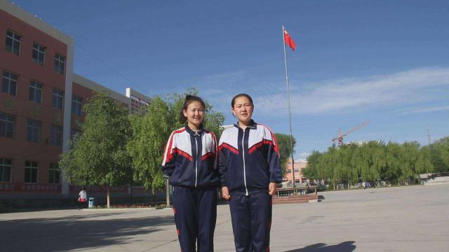 师范学校最新排名及其影响力探讨分析