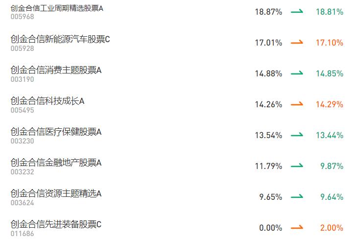 最新基金股票持仓分析与展望揭秘，洞悉投资趋势与机遇