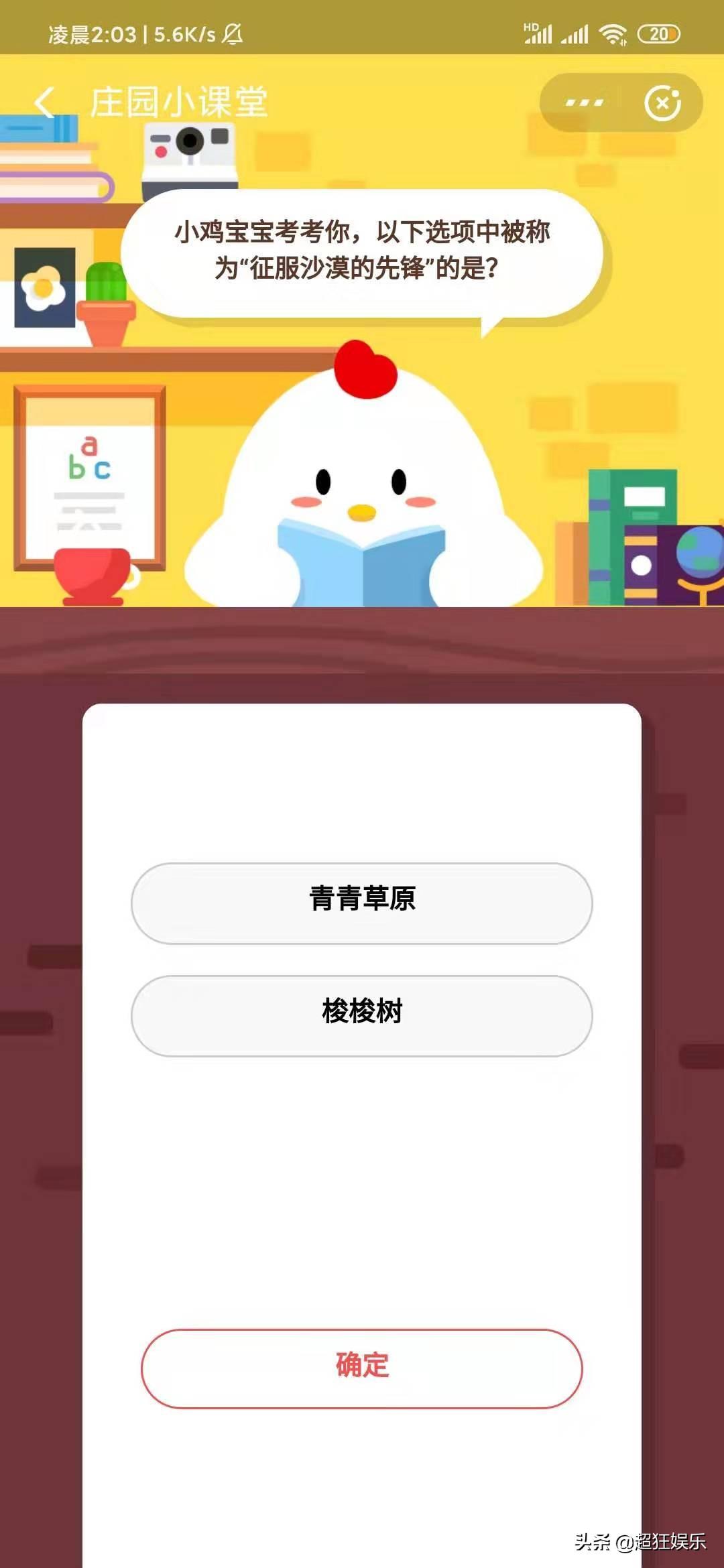 小鸡宝宝每日成长探索，最新答案揭秘成长奥秘