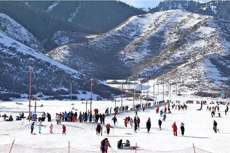 新疆滑雪场最新动态，引领冬季运动新风潮