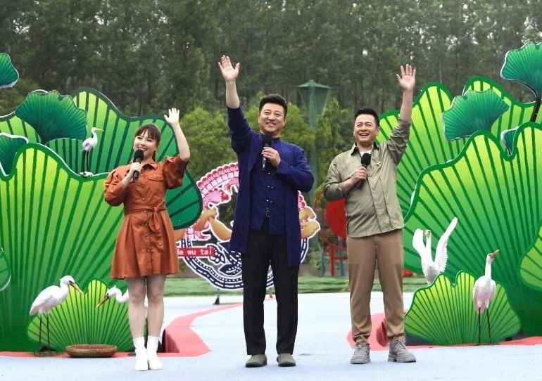谢芷馨最新视频，探索艺术新境界的魅力