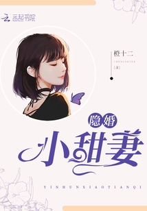 贱妻最新章节及其深度解析概览
