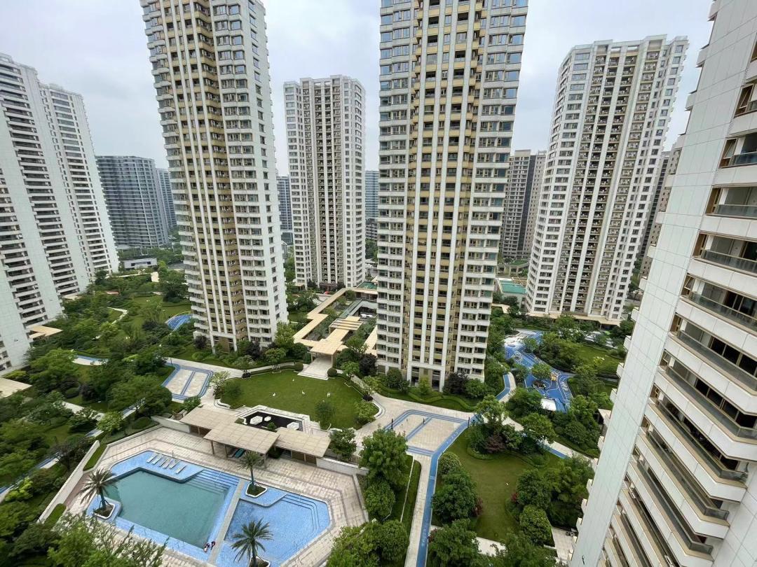 最新数据群，揭示潜在启示与趋势分析