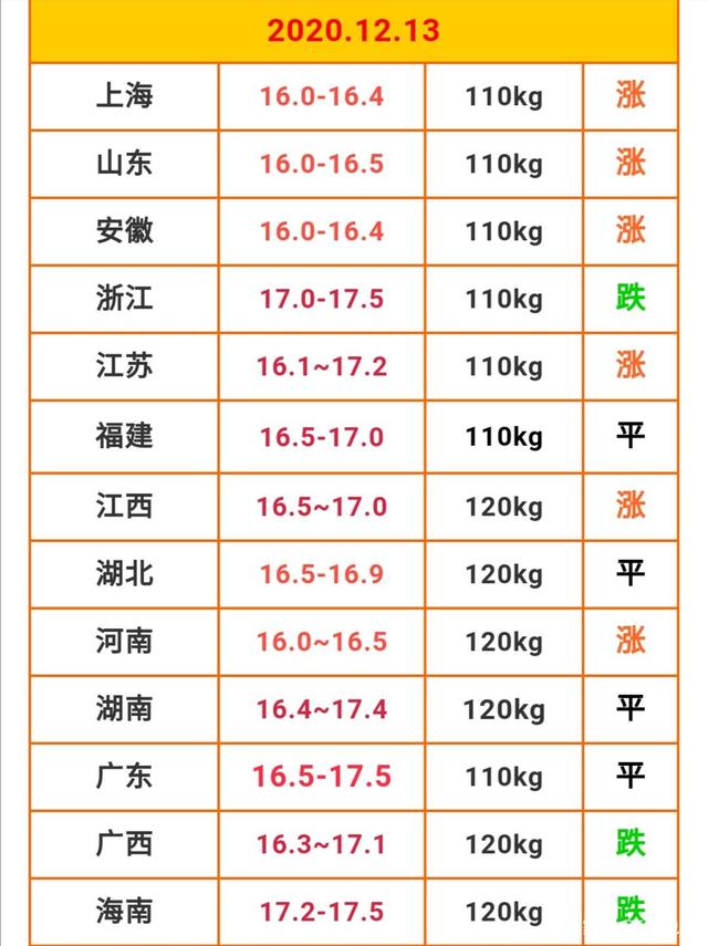 一斤的最新动态，揭示在各领域的发展与广泛影响