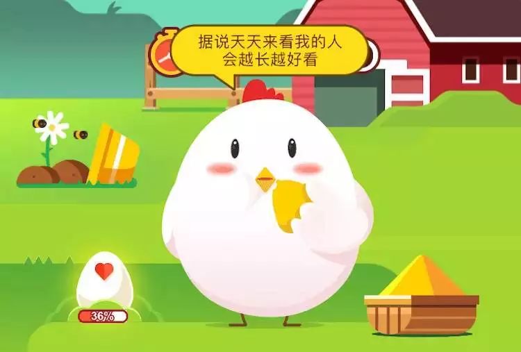 庄园小鸡最新答案今日探索与解析