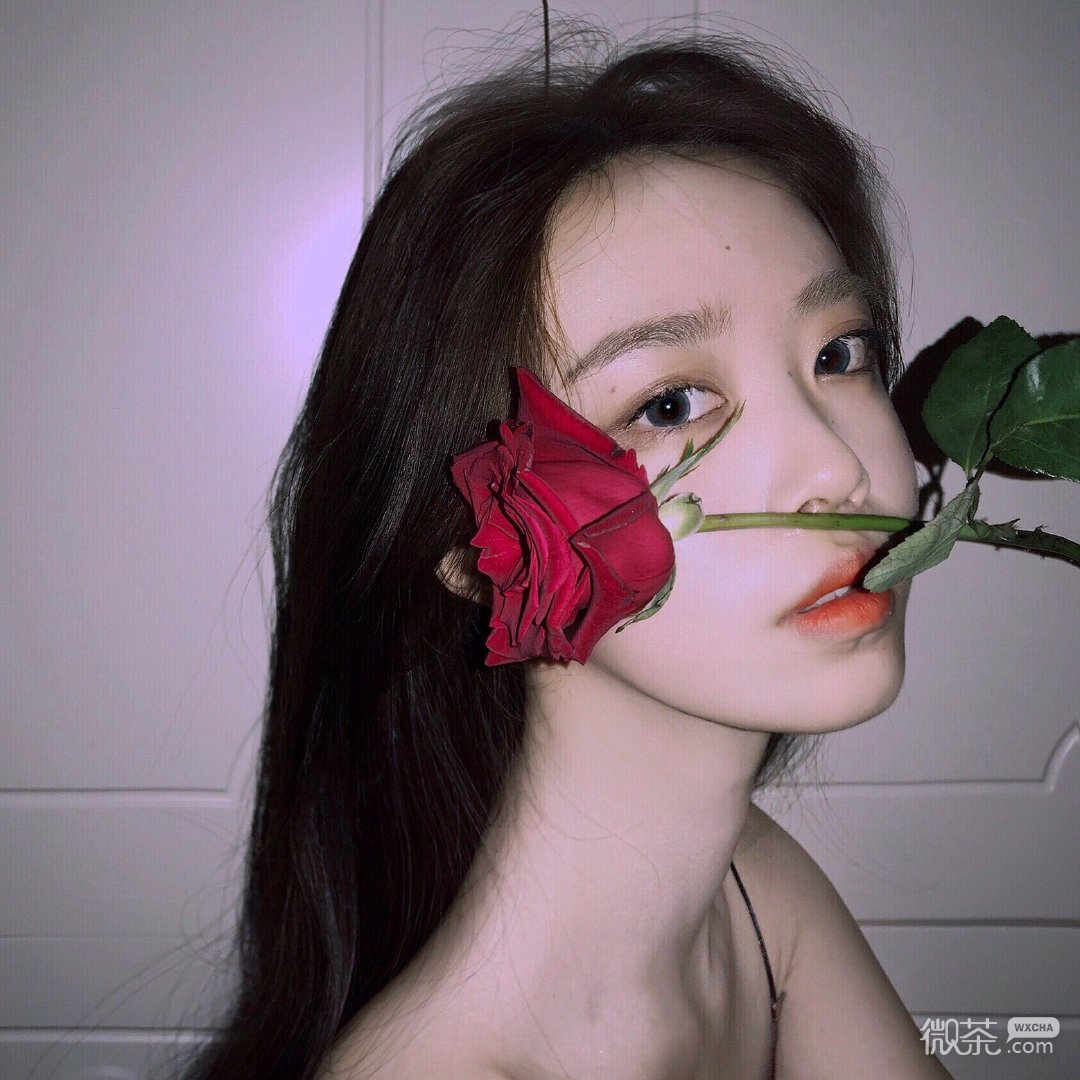 最新微信图像女，时尚潮流与个人风格的完美融合展现魅力风采