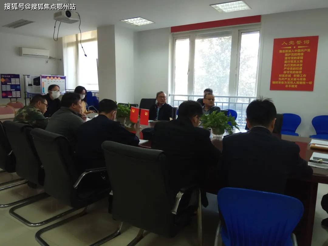 蒋山青最新行情深度解析与展望