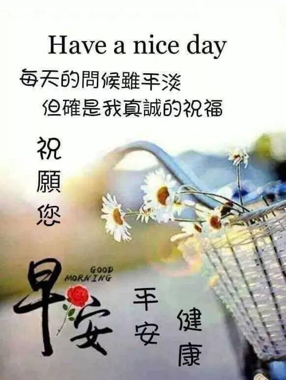 最新早安祝福图片，温馨开启美好一天