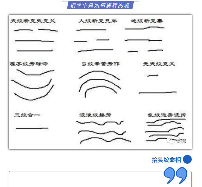 天纹缠最新答案解析与探索