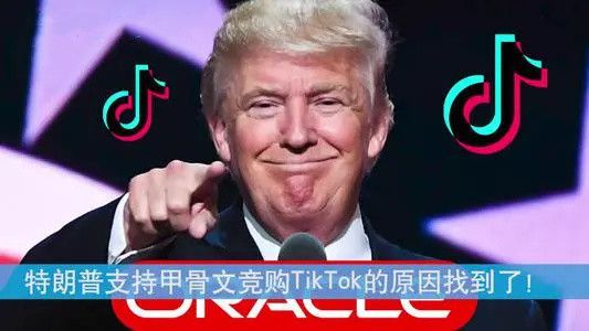 特朗普最新TikTok动态，潮流引领还是政治舞台的延伸？