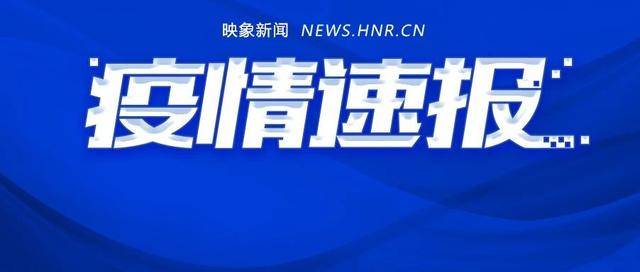 成都新冠肺炎最新情况报告，实时更新与分析
