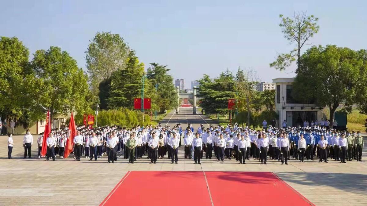 最新9号令实施细节及其影响分析