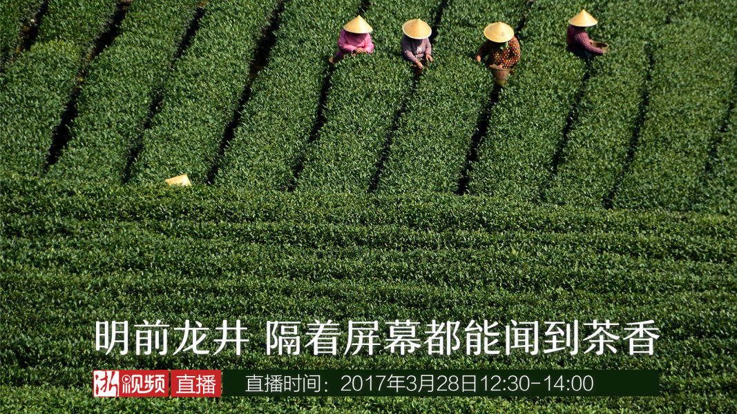 防盗门 第58页