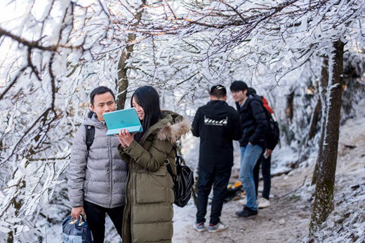 南岳衡山雾凇直播，自然与科技融合之美最新报道
