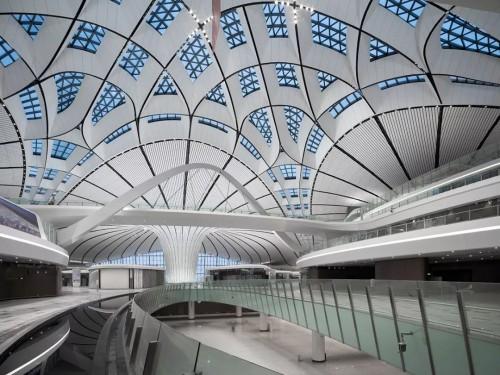 金螳螂最新项目的探索与实践，创新思维的实践之旅