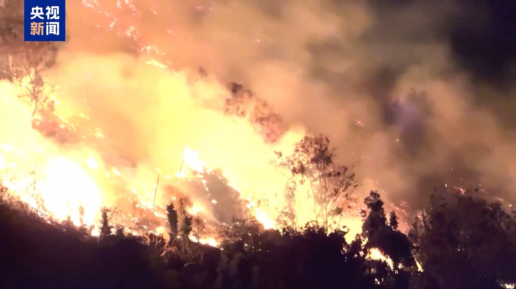 最新山火事件，挑战与应对策略