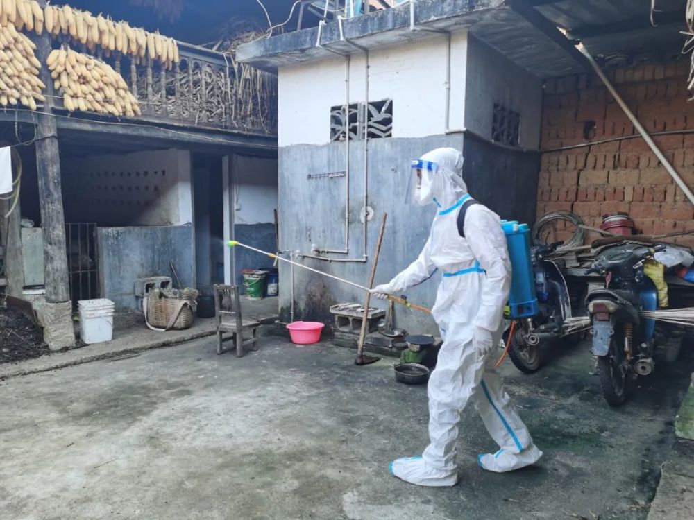 陇川县最新疫情动态与影响概述