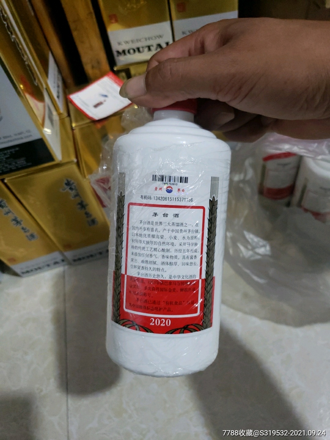 普茅最新市价走势，市场趋势、影响因素与未来展望分析