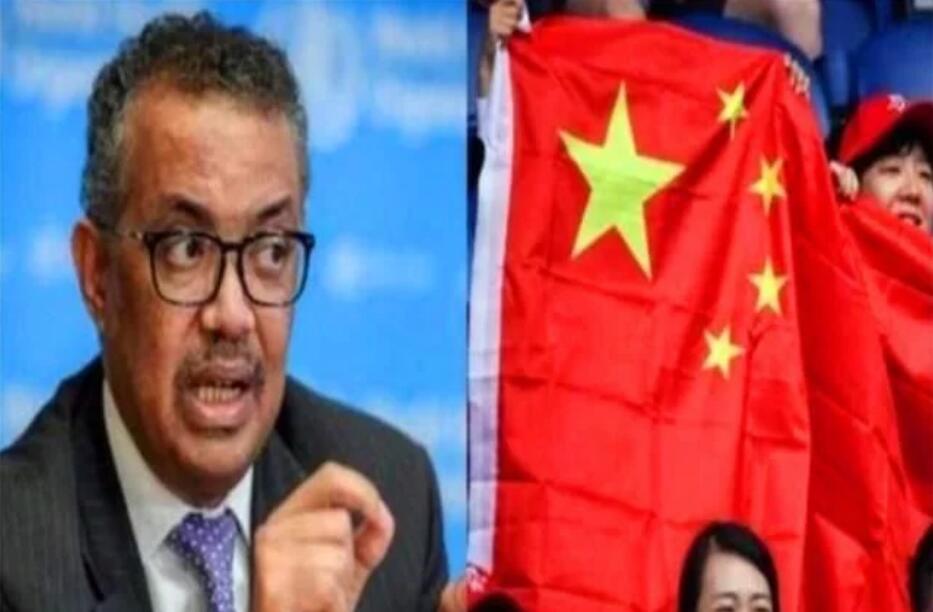 国美疫情最新数据更新，最新消息汇总