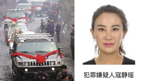 武陟通缉犯最新动态，深度解析及应对之策
