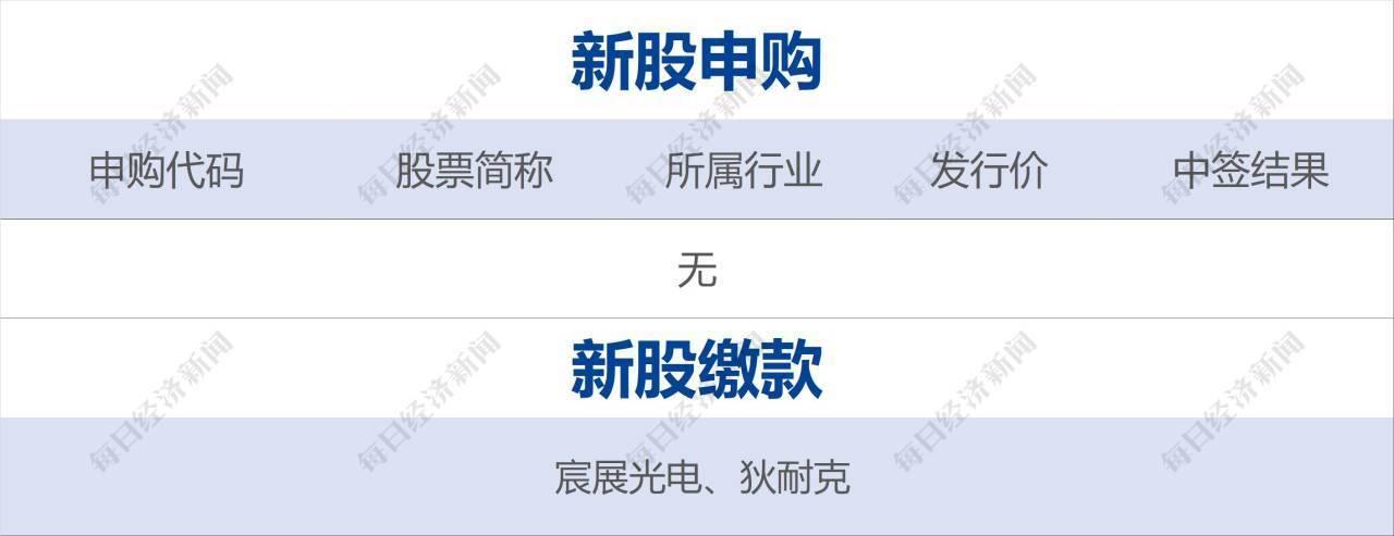 美国大选最新动态，全方位观察州到联邦的实时选情更新