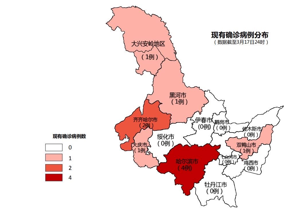 黑龙江疫情最新报告，当前形势全面分析与应对策略