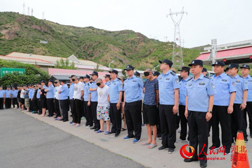 河北警方最新动态全面解析