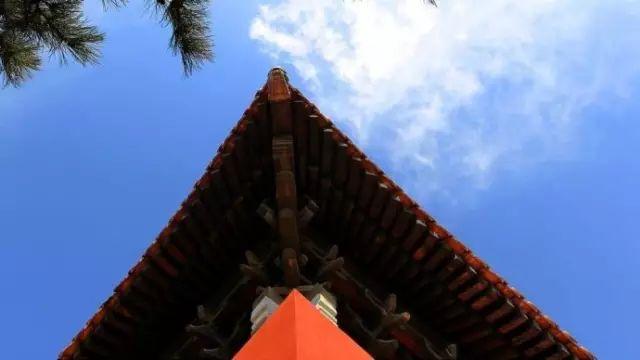 龙小山最新笔趣阁，探寻文学宝藏的新天地
