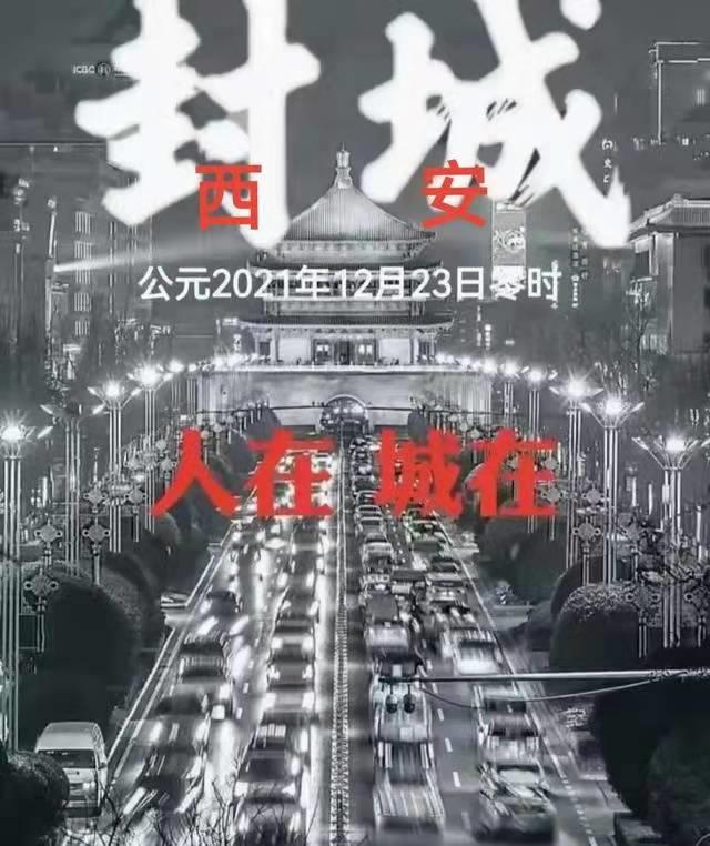全球疫情最新形势，挑战与应对策略的全球性视角分析