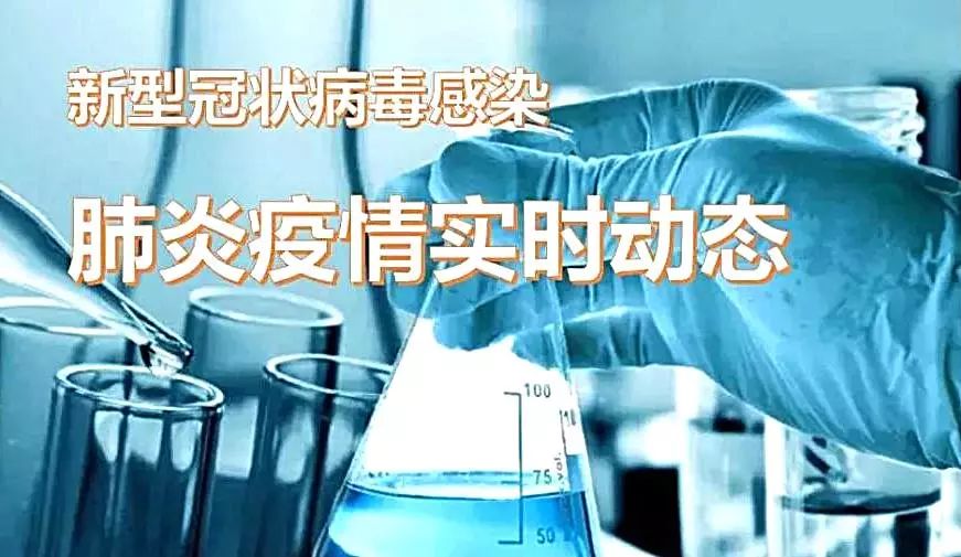 全球肺炎最新动态，态势分析与应对策略揭秘