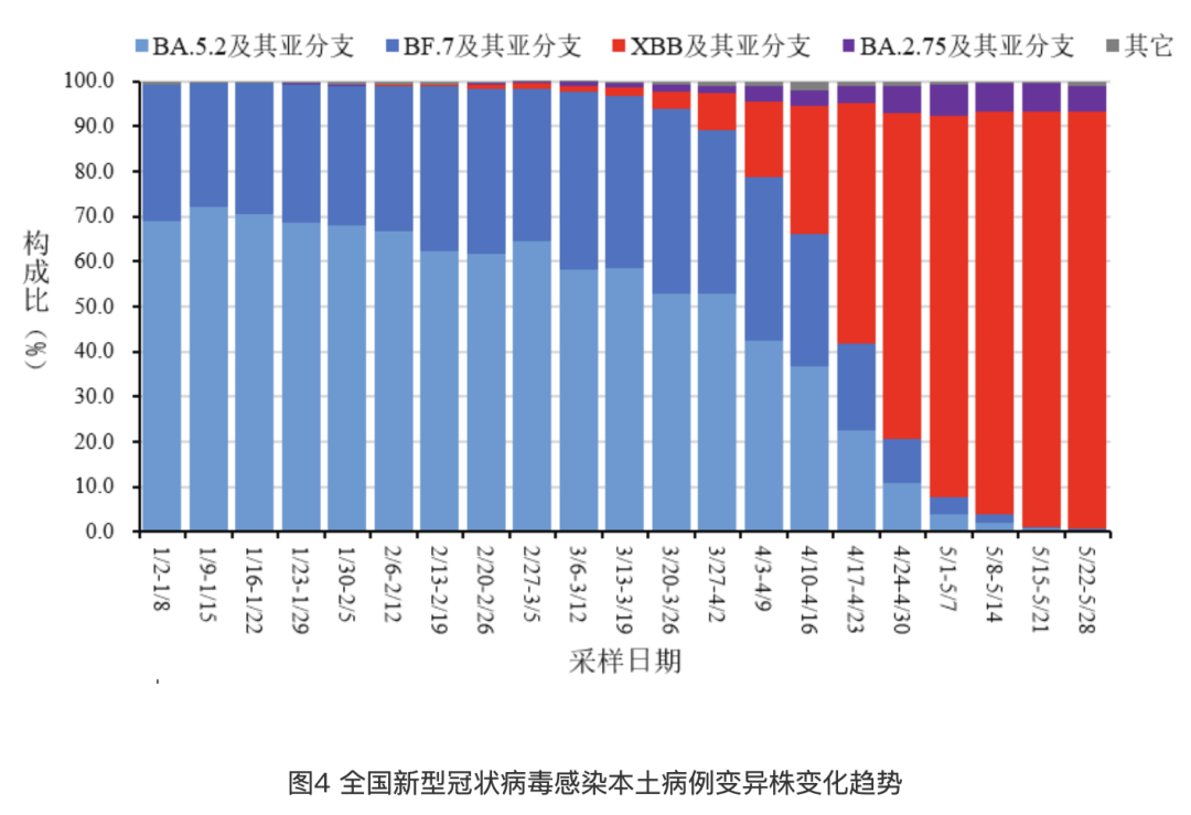 全国疫情最新数据报告（截至XX月XX日，最新动态分析）