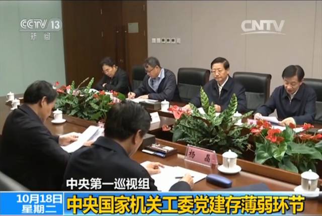 中央调查组最新动态深度解读