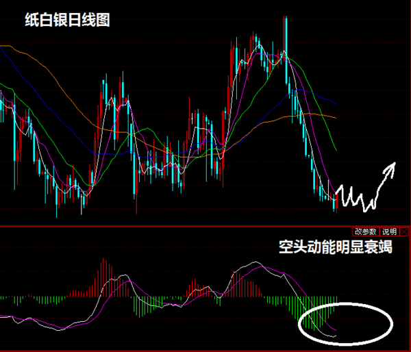 今日白银行情走势深度解析与最新观察