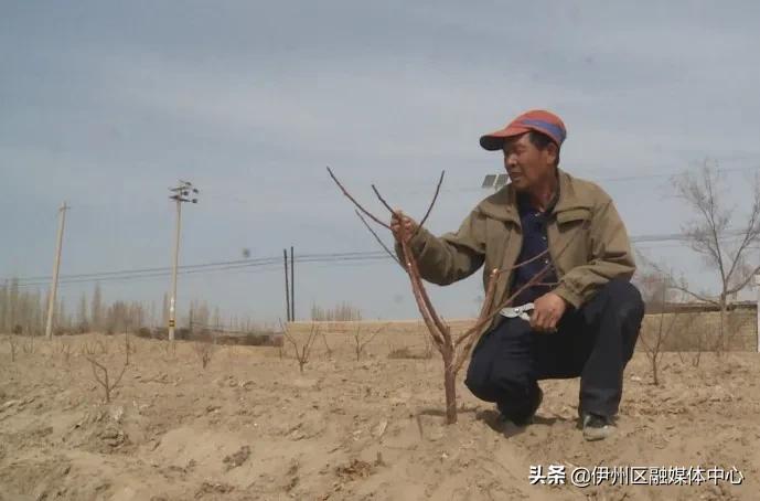 防盗门 第28页
