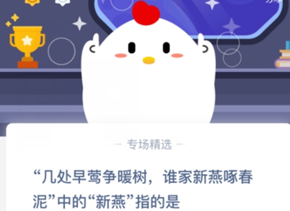 蚂蚁庄园今日答案最新解读与分析